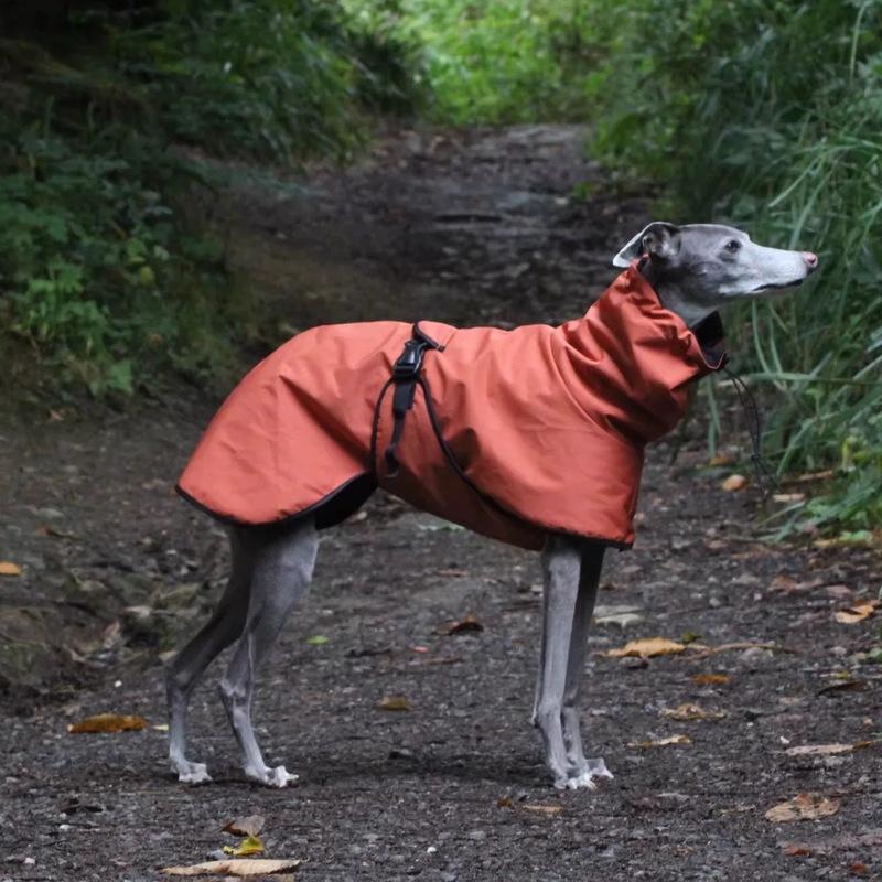 Modischer Regenmantel für Airless Terrier Weiche Welpenkleidung Warmer wasserdichter Mantel für Italienischen Windhund Whippet Hundejacke