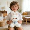 Plush Toys, Cute And Perfect Birthday Gifts For And Classmates, Graduation Gifts