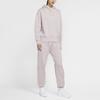 Nike Sweatshirts Women's Light Purple Hooded Moderate Regular CZ2591-645