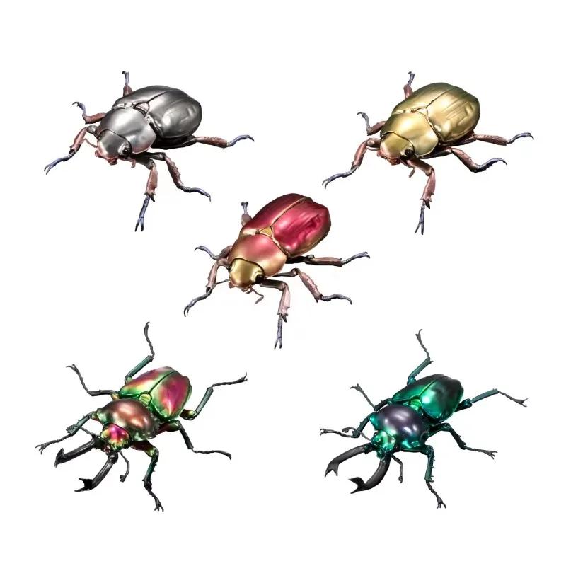 Original Twisted Egg Biological Encyclopedia Scarab Beetles Simulation Model Ornaments Action Figure Toys