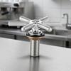Sink Cup Rinser | High-Pressure, with six-spoke Spray Head, Quick,