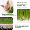 Self-planted Tray Cat Grass Planter Anti-Pull Out Wheat Seedling Pot  Home Gardening