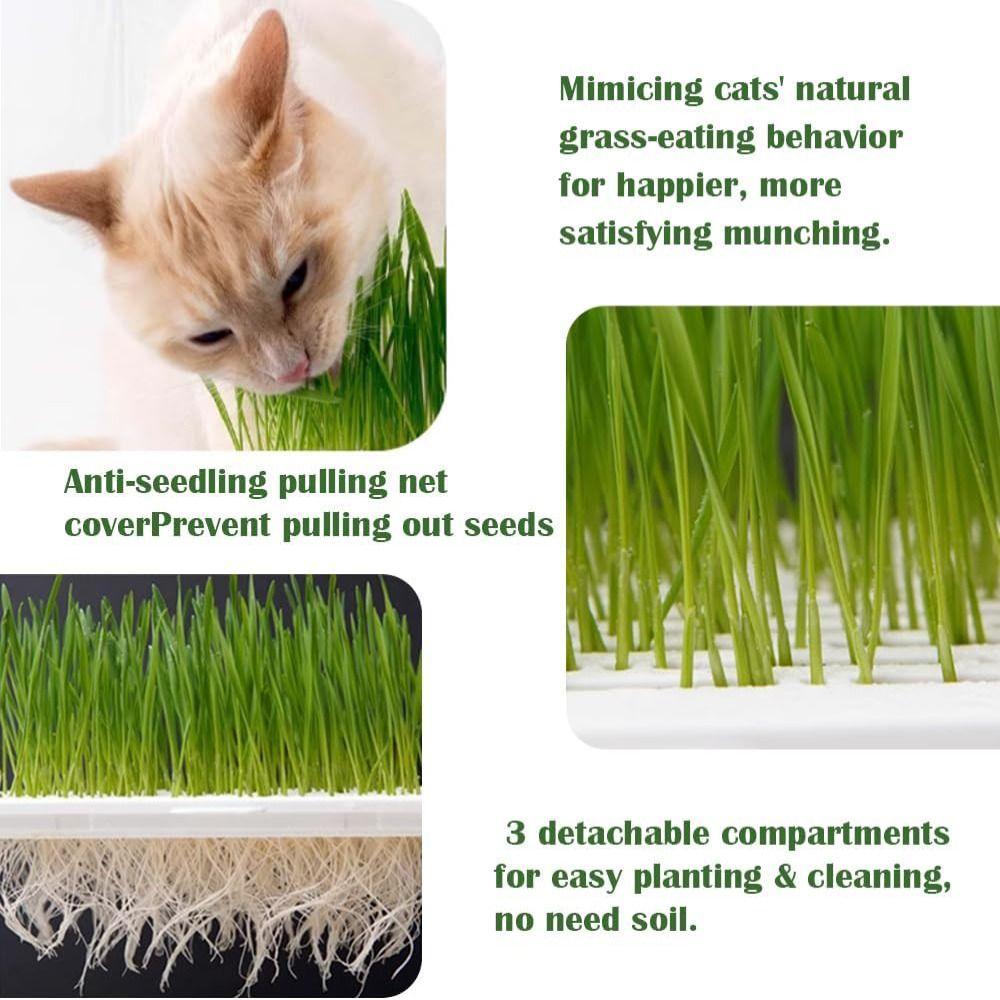Self-planted Tray Cat Grass Planter Anti-Pull Out Wheat Seedling Pot Home Gardening