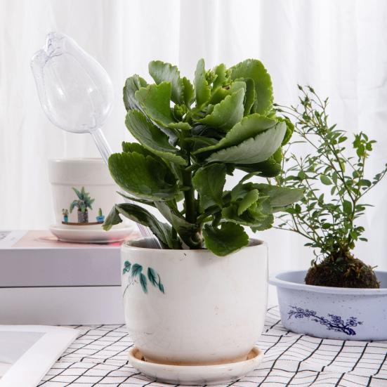 4 Pcs Tulip Self Watering Globes Planter Insert Automatic Watering Bulbs Reusable Plant Watering Spikes for Various Potted Plants