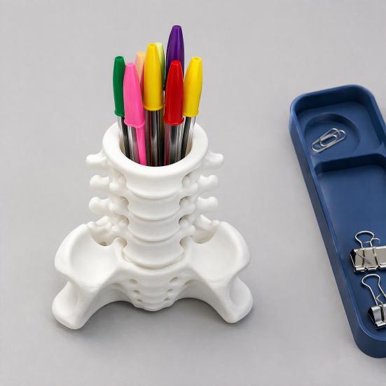 Realistic Pelvis Base Simulated Spine Pen Holder, Creative Skeleton Desktop Organizer, Durable Anatomical Desk Decor PLA 3D Printed Anatomy