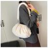 New High-End Plush Pleated Cloud Bag - Women's Trendy Crossbody for Autumn/Winter