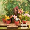 ROBOTIME Rolife 3D Puzzles Green Fountain Garden DIY Miniature House DS049