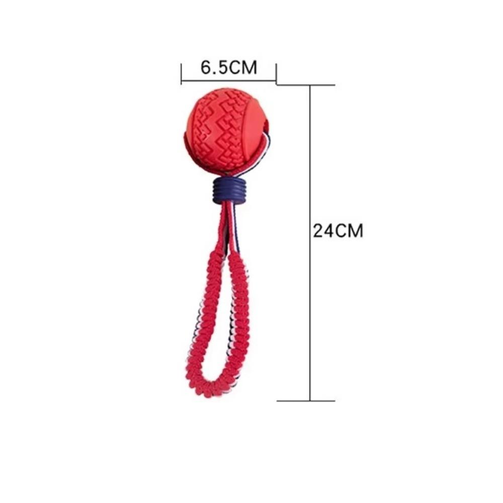 TPR Dog Chew Toy Teeth Cleaning Dog Training Ball Pet Bungee Rope Ball  for Small Medium Large Dog
