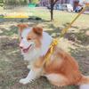 Adjustable Harness & Leash Set for 1-15kg Pets - Breathable All-Season Dog/Cat Vest with Safety Buckle