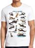 Otters of the World Design Animal Gamer Funny Joke Meme Gift Tee T Shirt M995