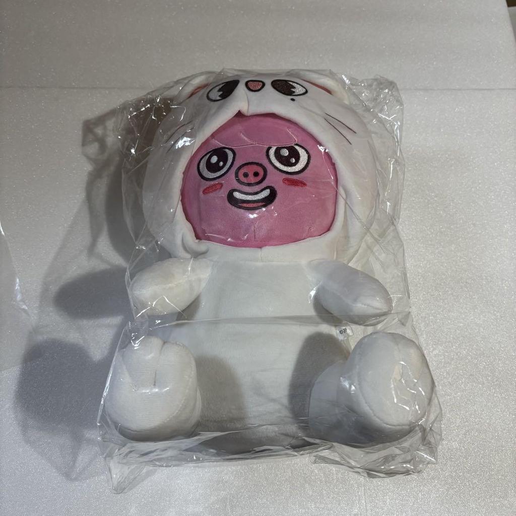 [USED] Stray Kids DWAEKKI Changbin Plush Toy