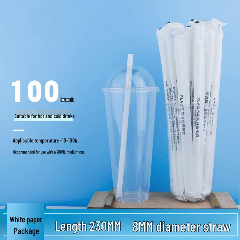 Individually Wrapped Bagasse Disposable Straws (100-Count)