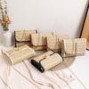 Trendy 2022 Woven Straw Tassel Chain Bag for Ladies