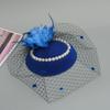 Fascinator Elegant Retro Birdcage Veil Hat Black Veil Top Hair Accessories Bridal Face Veils