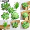 Artificial Succulents Plant Artificial Plant Vibrantly Colored Plastic Plants For Exhibition And Cafe Decoration 5pcs