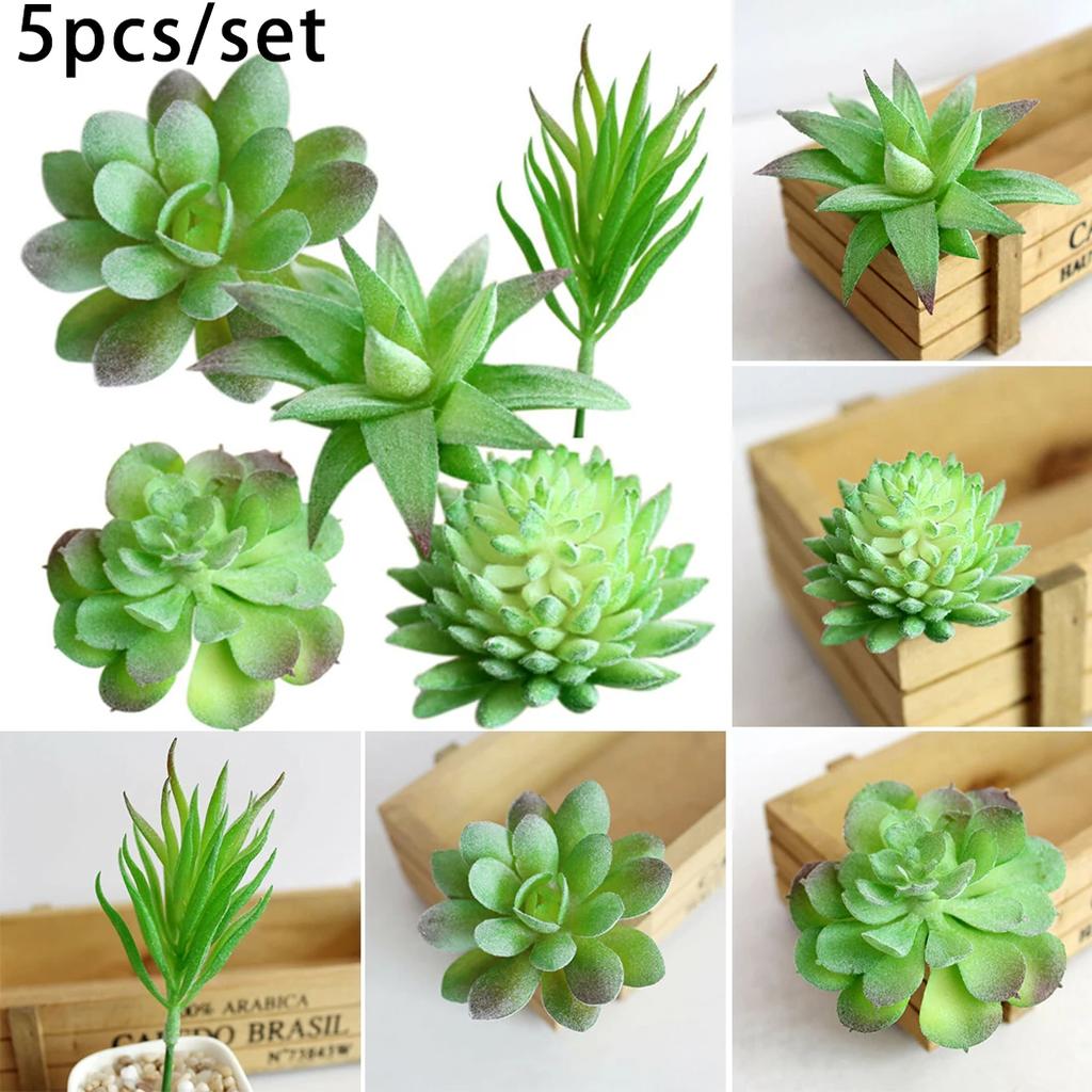 Artificial Succulents Plant Artificial Plant Vibrantly Colored Plastic Plants For Exhibition And Cafe Decoration 5pcs