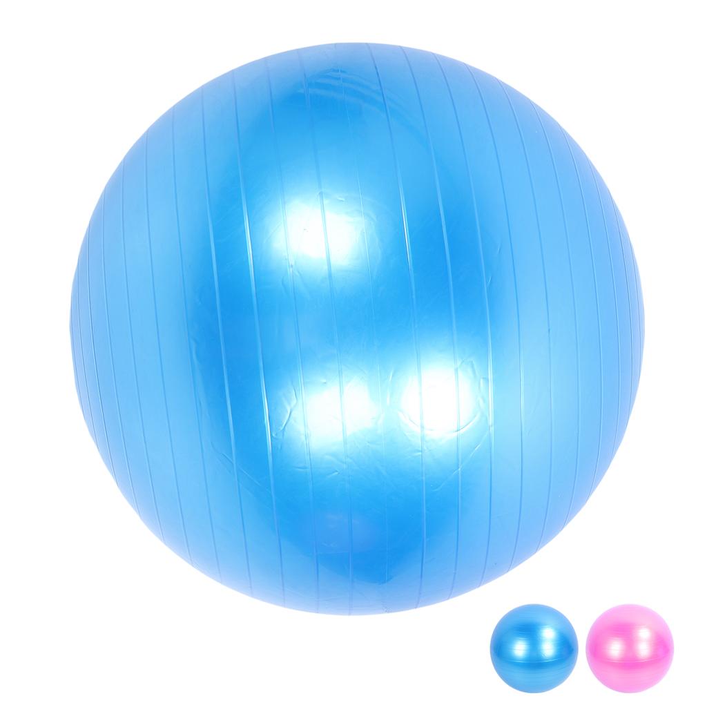 Extra Thick Exercise Ball PVC Anti Burst Inflatable Gym Ball with Pump for Pilates Balance Stability