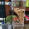 Transparent Anti-spill Bird Feeder Water Supplies Accessories Humming Parakeet Feeders Outdoor Karmnik Parrots Automatic Birds
