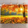 2D Glowing Autumn Sunlit Maple Tree Photography Background