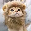 Cat Cosplay Dress Up Pet Hat Cute Lion Mane for Cat Puppy Lion Wig Costume Party Decoration Halloween Christmas Gatos Costume Cosplay Toy Pet Supplies
