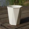 with Clear Saucer Reservoir Plant Pot with Drainage Hole Desktop Plants Pot