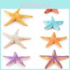Vibrant Colorful Pvc Starfish Decorations Assorted Sizes For Ocean-themed Displays