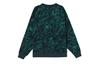 Nike ACG THERMA FIT Sweatshirts Unisex Spring Green Crew Neck Moderate Regular DV9101-363