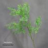 Asparagus Fern & Willow Buds Greenery for Wedding Decor & Landscaping