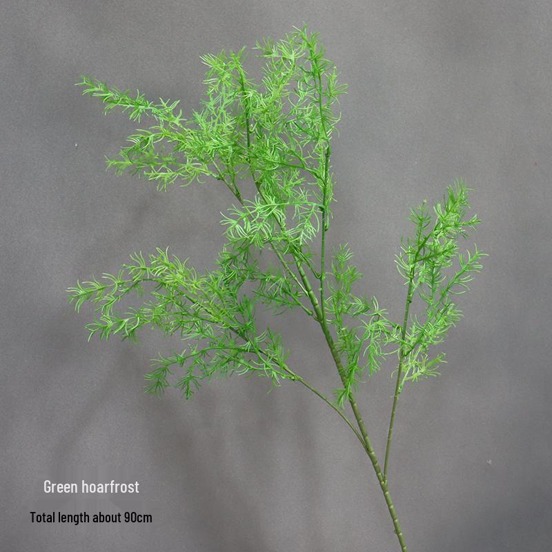 Asparagus Fern & Willow Buds Greenery for Wedding Decor & Landscaping