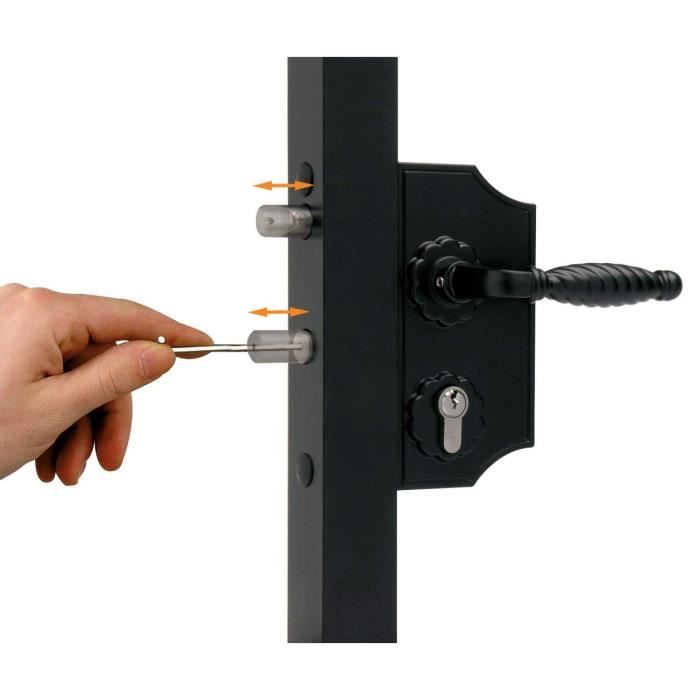 LOCINOX Vert LAKZ P1 Serrure Économique Pour Portillon De Jardin Avec Coffre En Polyamide Et Mécanisme En Acier Inoxydable
