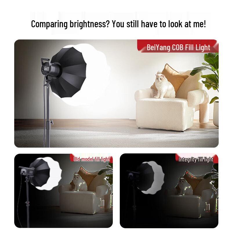Beiyang Professional LED Photography & Live Broadcast Fill Light