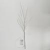 Artificial Plant White Birch Branch Light 70cm/50LED Luminous Tree Twig Outdoor Light Battery Operated