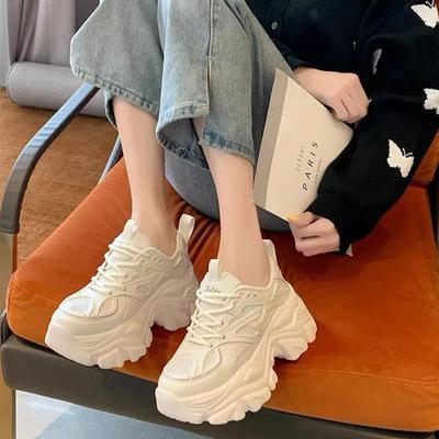 Versatile Fried Street Dad Shoes Women's Winter 2025 Autumn New Ins Trendy Thick-soled Breathable Heightening Niche Sports Women's Shoes