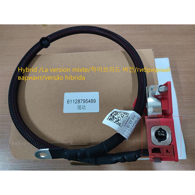 61128795489 Positive Battery Fuse Cable for BMW X7 AWD G07 Diesel Mild Hybrid or Normal Petrol SUV 2019-2022 12V 61128796040
