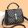 Fashion Temperament Light Luxury High Sense Women's Handbag Korean Version Commuter Style Versatile Classic Messenger Bag