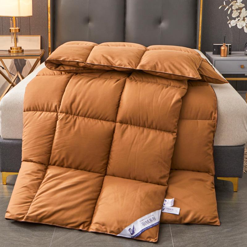 Downproof Velvet-Quilt: All-Season Comfort for Homestay and Students
