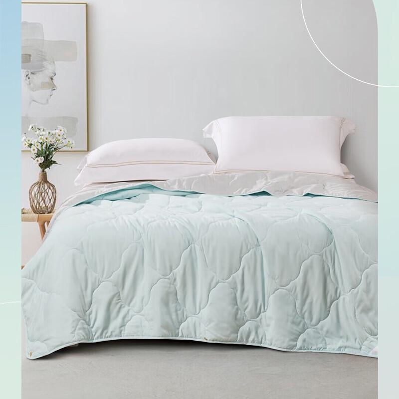 

Fuanna Plain Soft Summer Quilt