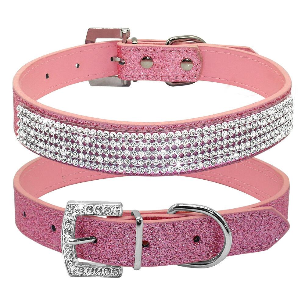bedazzled dog collar