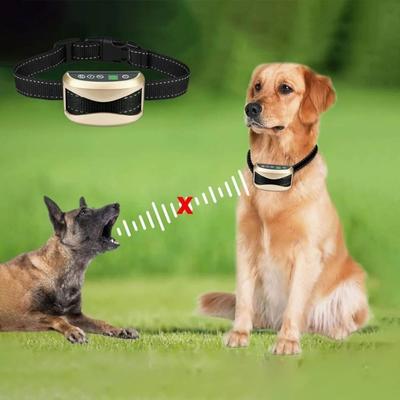 Köpek – Eğitim ve Öğretim Araçları