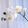 Moisturizing Phalaenopsis simulated flower home furnishing hotel wedding decoration fake flower bonsai simulated plant
