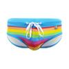 Pride Stripe Bikini Rainbow Men's Brief Sexy Swimsuit for Men Surfing Swimwear Low-Rise