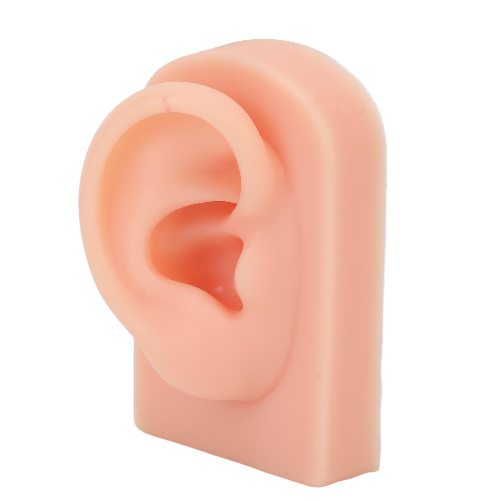 

Silicone Ear Model Soft Flexible Right Ear Reusable Human Ear Model for Ear Piercing Training And Earrings Display