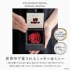 Amorosa Moderno Preserved Flower Diamond Rose Box 85 Disney Always Thank You