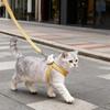 Cute Cartoon Style Anti-Escape Cat & Dog Leash for Small Pets