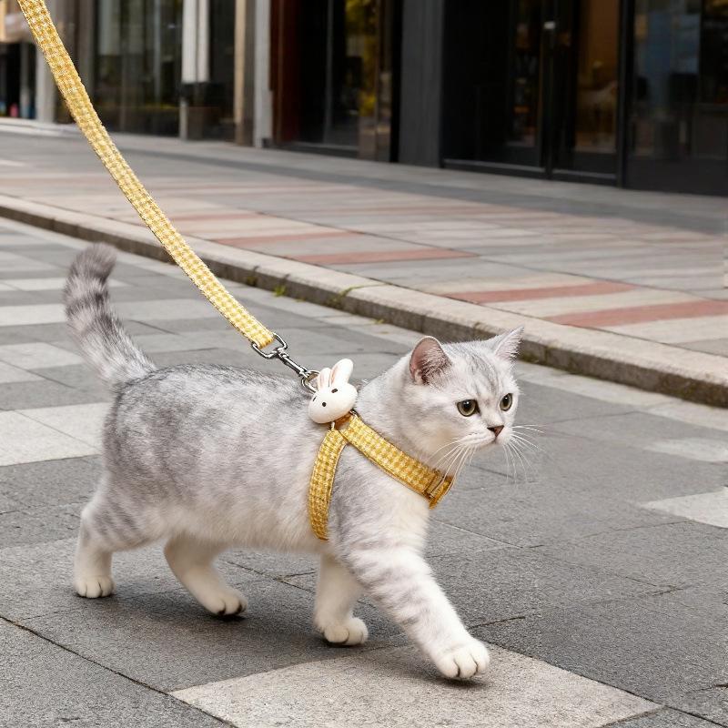 

Cute Cartoon Style Anti-Escape Cat & Dog Leash for Small Pets Size S