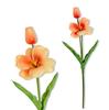 Branch - Apricot Foam Tulip 53 Cm