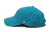 Seven Cap 47 CLEAN UP NBA Eastern Conference Charlotte Hornets Charlotte Hornets [Forty Brand]