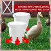 2025 Trend Chicken Water Cups, Automatic Chicken Waterer Kit Poultry Drinking Bowl For Chicken
