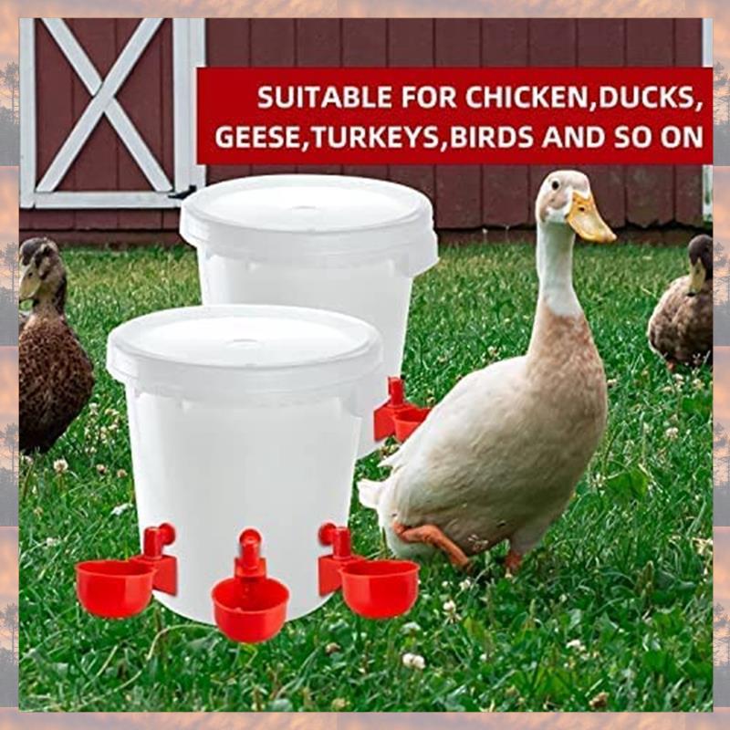 2025 Trend Chicken Water Cups, Automatic Chicken Waterer Kit Poultry Drinking Bowl For Chicken