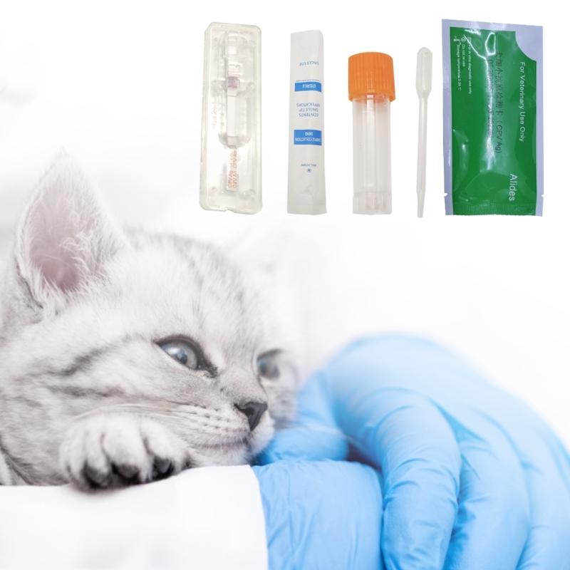 CPV Test Wellness Detection for Dogs Cats Testing Strips of Helicobacter CDV Test for Dogs/FPV Test Help Veterinarian